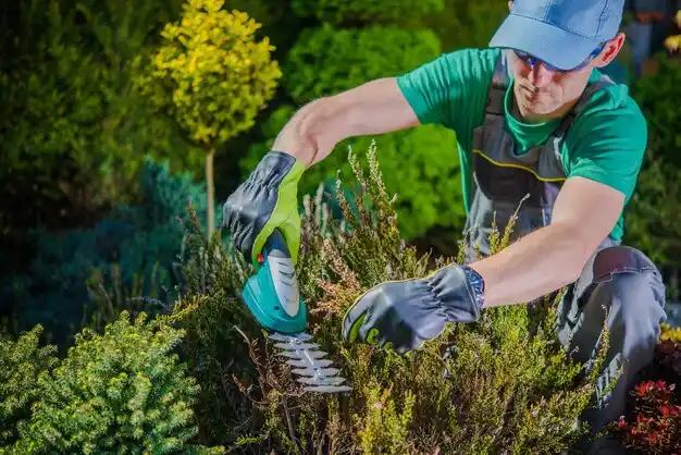 landscaping services Cannonsburg